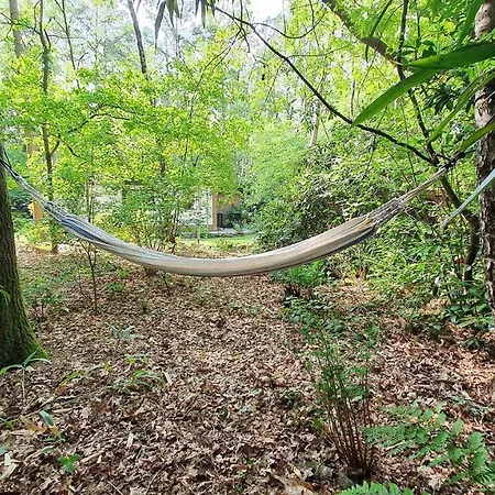 Natuurhuis Boscoso Met Openhaard En Elektr.fietsen