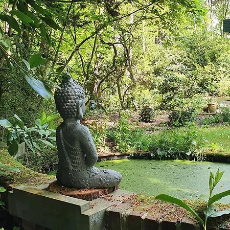 Tatil Evi Natuurhuis Boscoso Met Openhaard En Elektr.fietsen