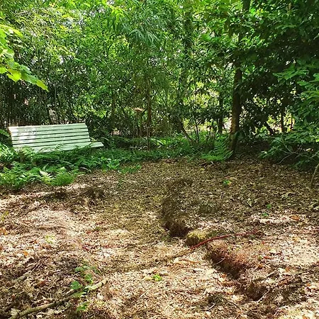 Natuurhuis Boscoso Met Openhaard En Elektr.fietsen *