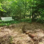 Natuurhuis Boscoso Met Openhaard En Elektr.fietsen *