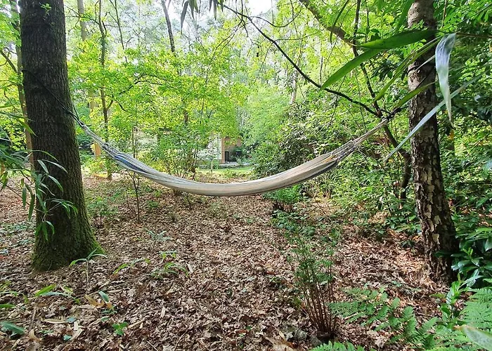 Natuurhuis Boscoso Met Openhaard En Elektr.fietsen