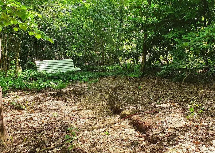 Natuurhuis Boscoso Met Openhaard En Elektr.fietsen *
